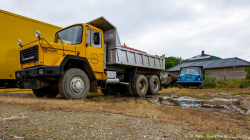 20240622-Lewiszong-Oldtimer-00034 20240622-Lewiszong-Oldtimer-00034